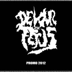 Devour The Fetus : Promo 2012